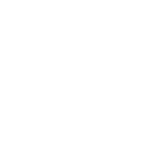 logo v2 white 10