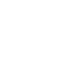 logo v2 white 13